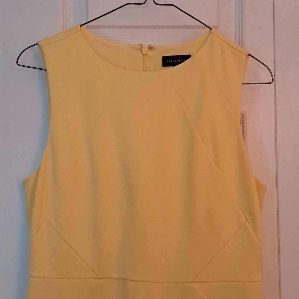 The Limited Dress - Picture 2 of 7